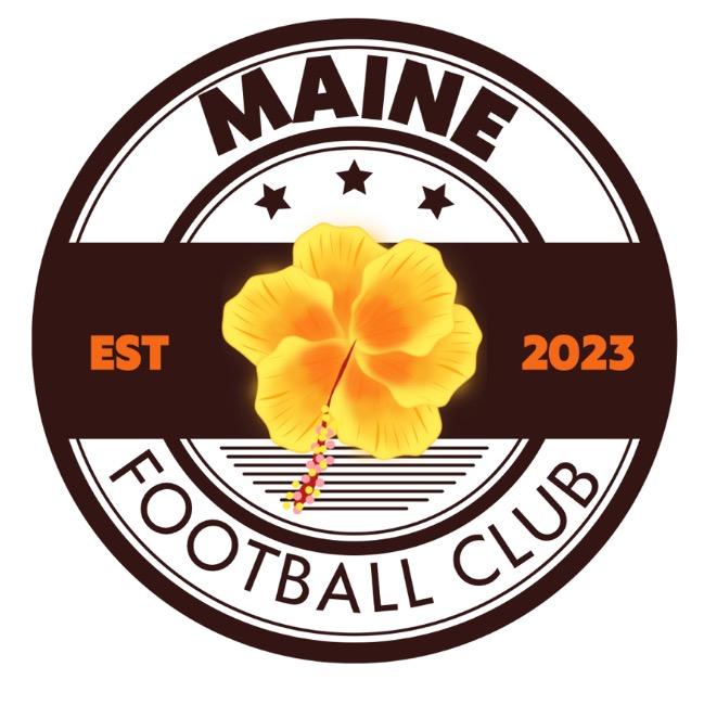 Maine Yellow Flowers