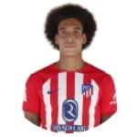 A. Witsel