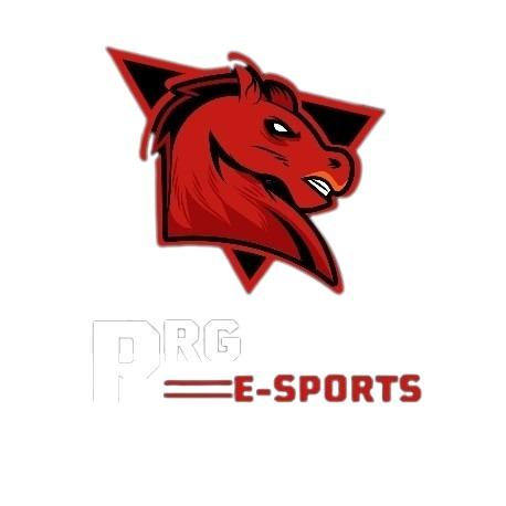 PRG E-SPORTS