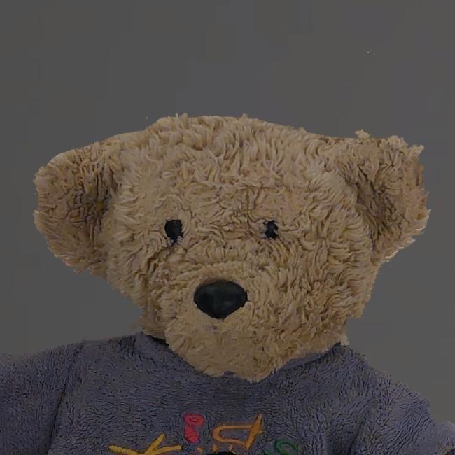 Bear Bearson🐉(89)