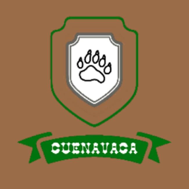 Osos Cuernavaca