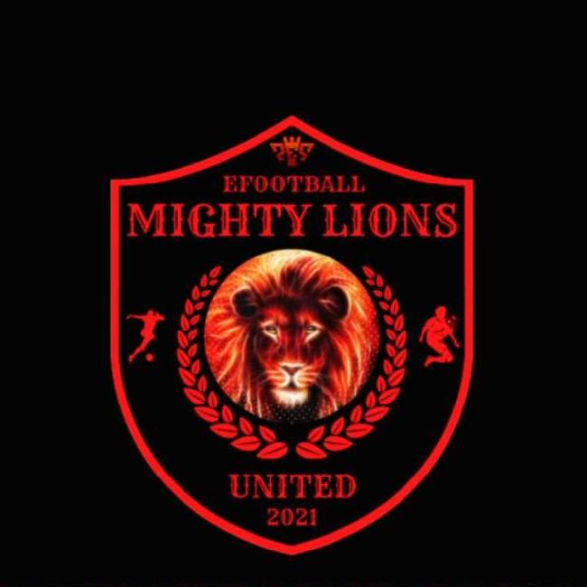 Mighty lions united