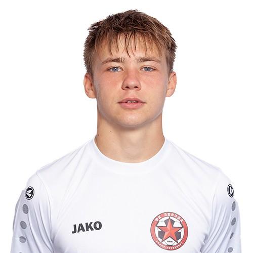 Nikita Saltykov