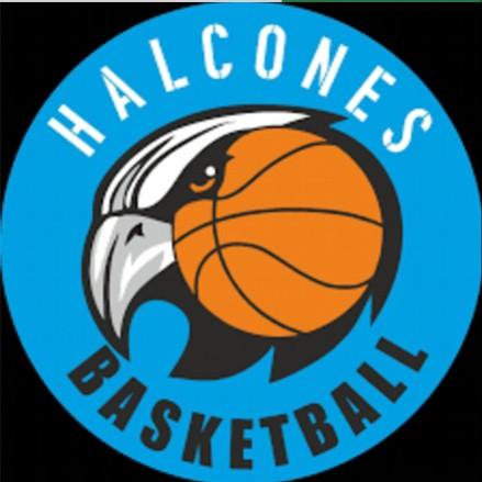 Halcones del mal