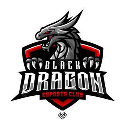 C'S BLACK DRAGONS