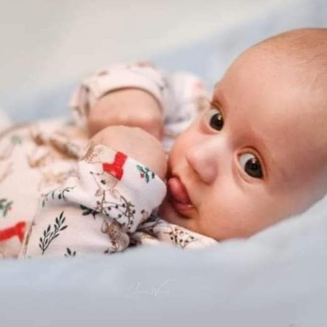 1. Sebastian Niezborała