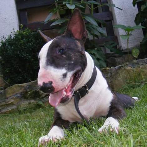 2. Michał Zierhoffer