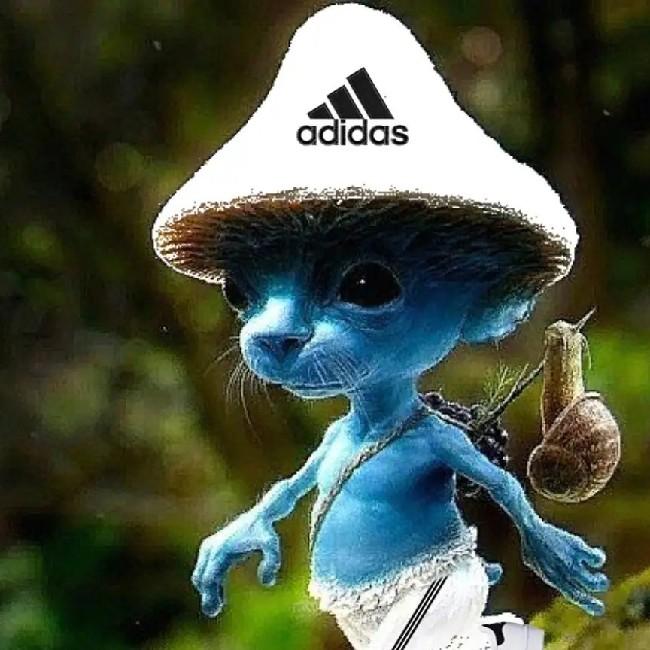 Smurf Cat