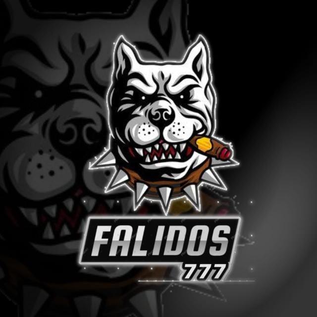 FALIDOS⁷⁷⁷/SW⁷ E-SPORTS