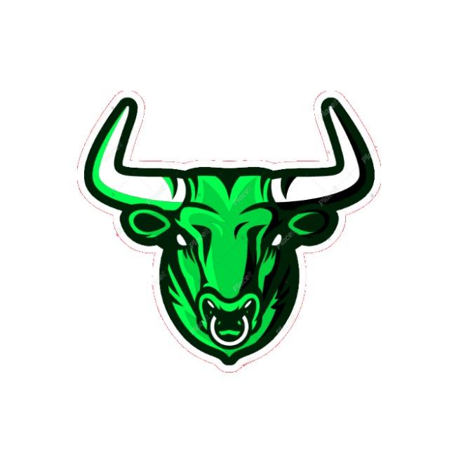 San Antonio Bulls