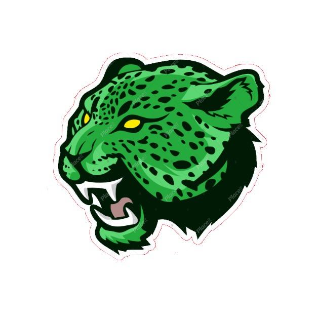 Hamilton Jaguars