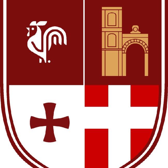 Real Aversa