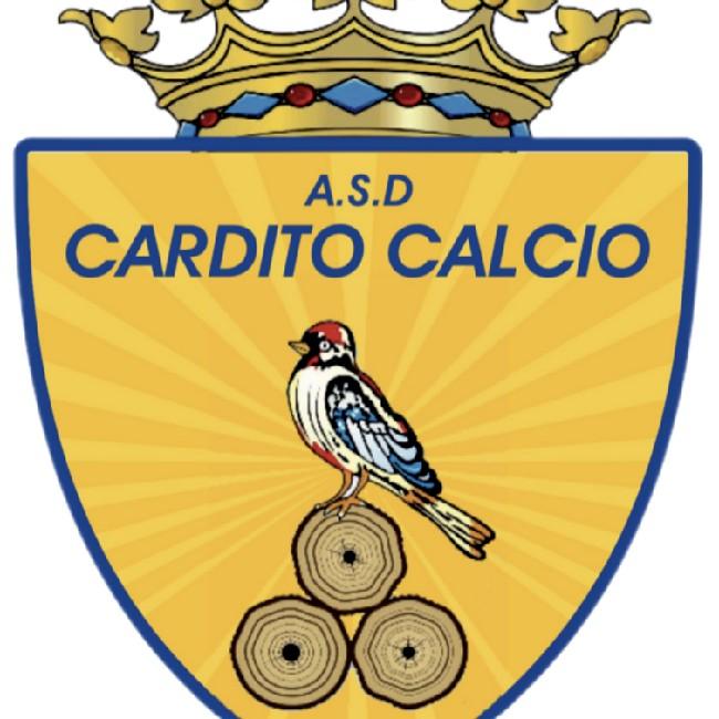 Giovani Cardito