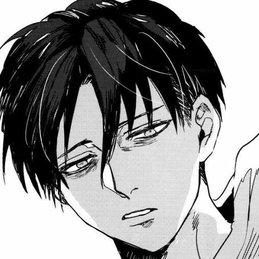 Levi