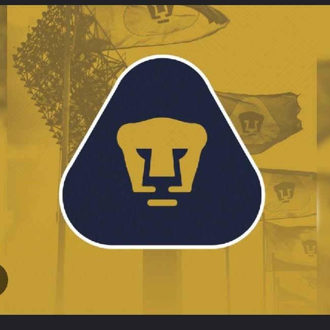 Pumas