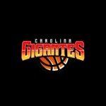 Gigantes de Carolina