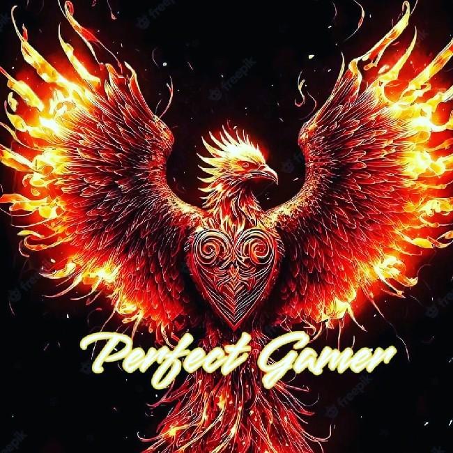 Perfect Gamer