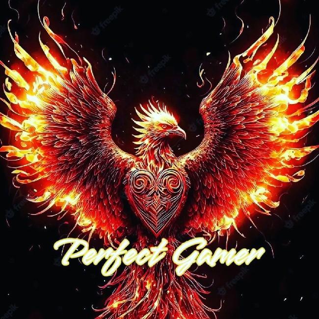 Follow (262082895)