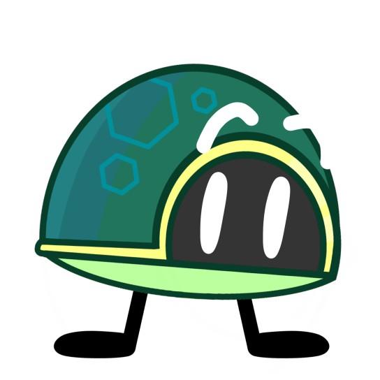 Turtle Shell