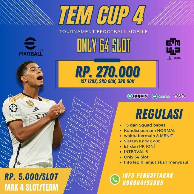 TEM CUP 4