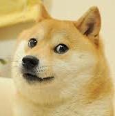 Doge FC