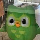 Duolingo FC