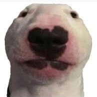 Perros Dormunt