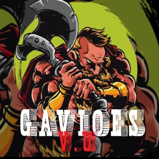 GAVIÕES DA V.U