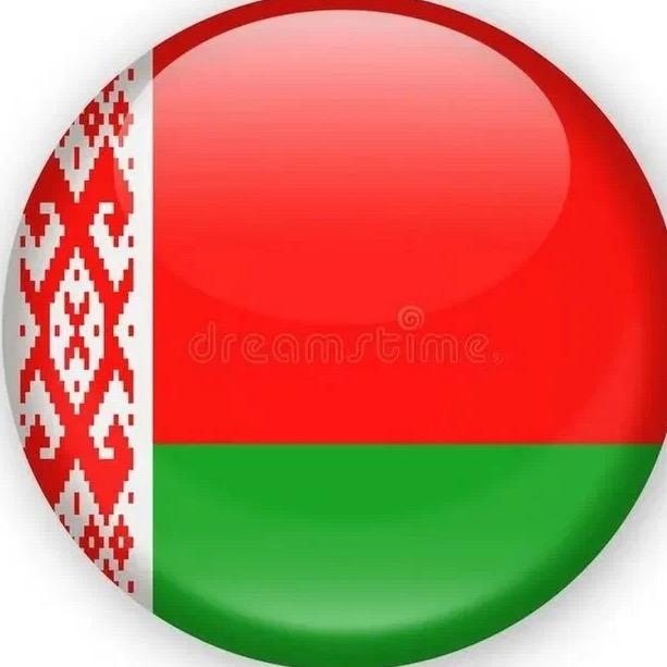 Фальковский 77