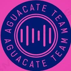 Aguacate team