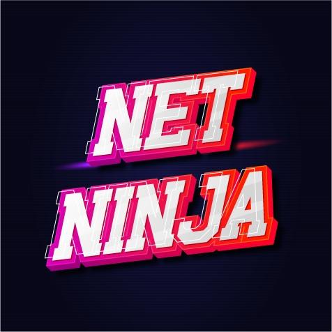 D4 - Net Ninja