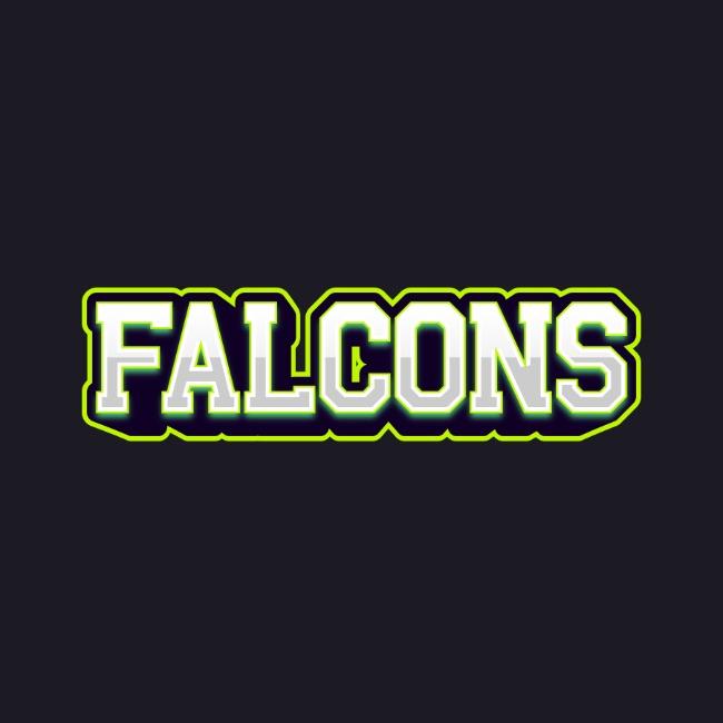 D2 - Falcons