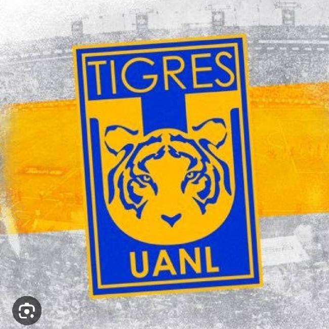 Club Universidad Nuevo León