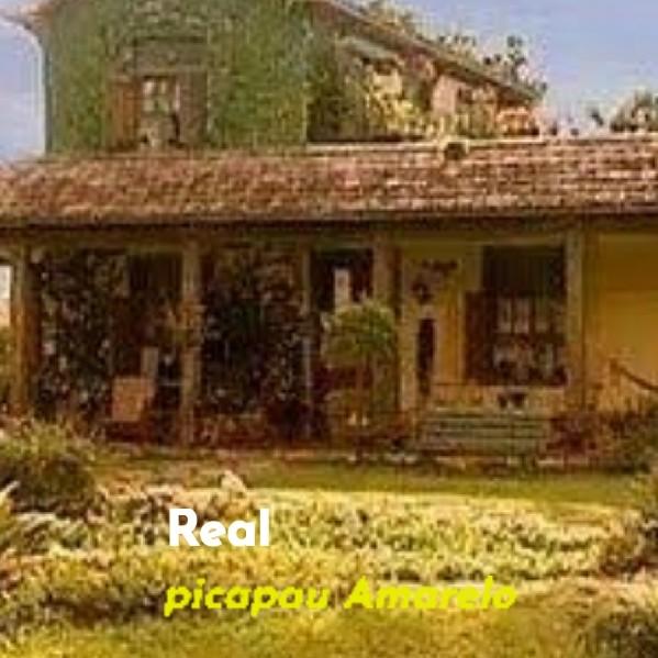 Real picapau Amarelo