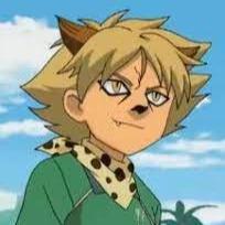 Cheetah