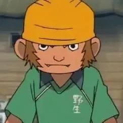 Monkey