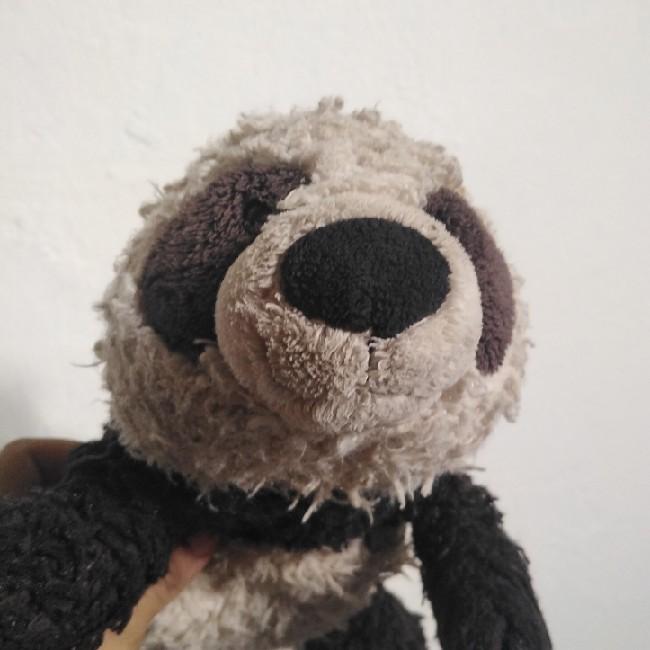 Scud Mapache