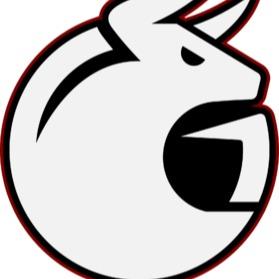MADBULLS
