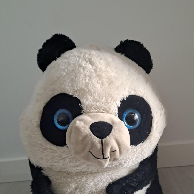 Pandita Eda 22 Med 80 DFC