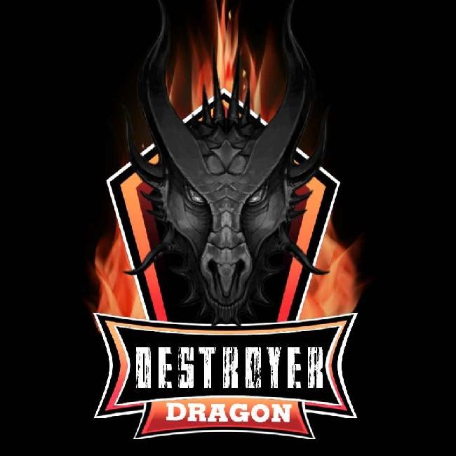 DESTROYER DRAGON