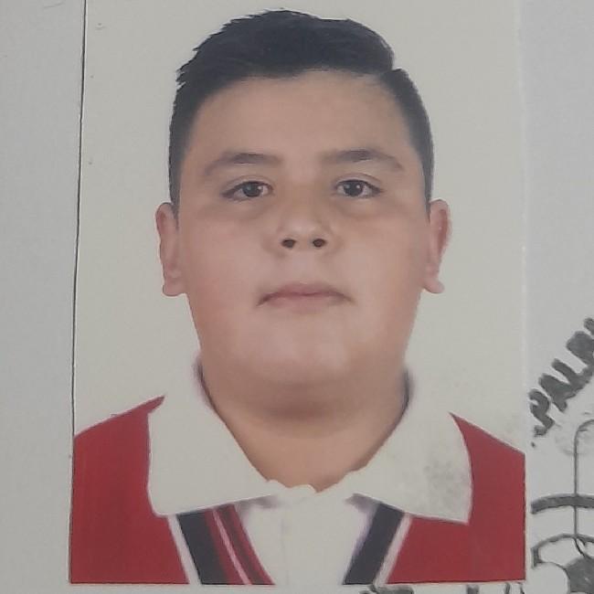 Diego Alejandro Gudiño M. #1184 2013