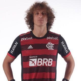 David Luiz