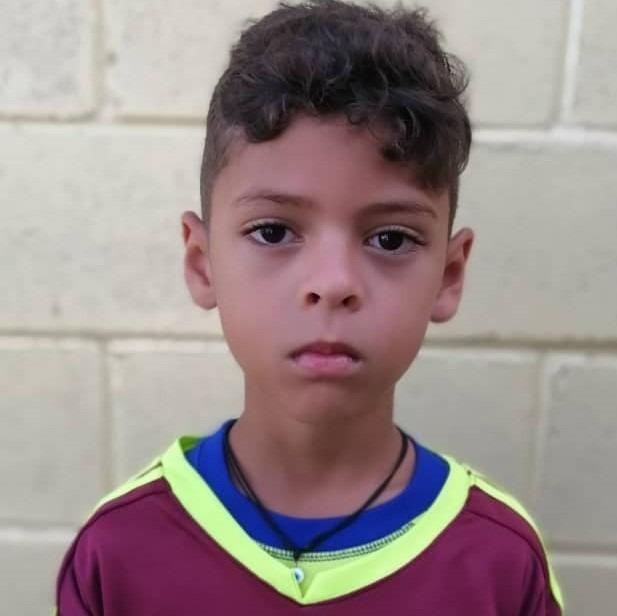 JONAS LUCIANO PERALES SAA