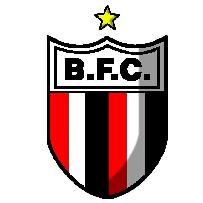 Botafogo de Ribeirão Preto