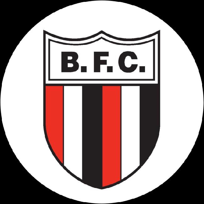 Botafogo-SP