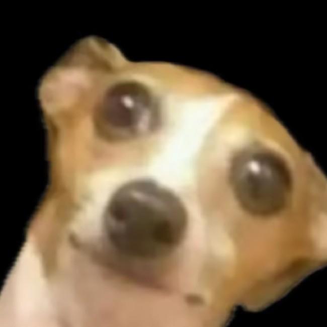 wf