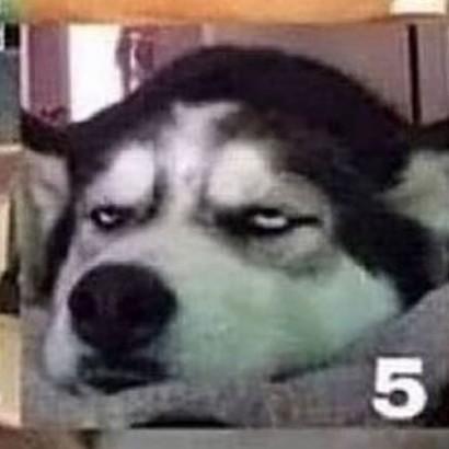 wf