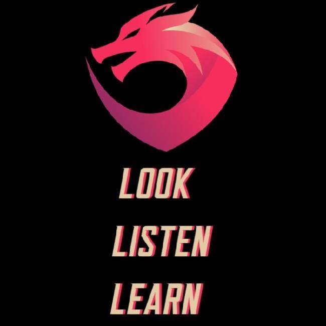 Look Listen Learn