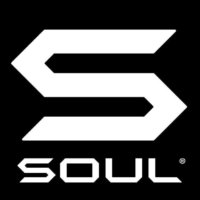 Soul revelation