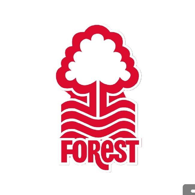 Nottingham forest